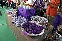 VBS_6510 - Expocasa 2022